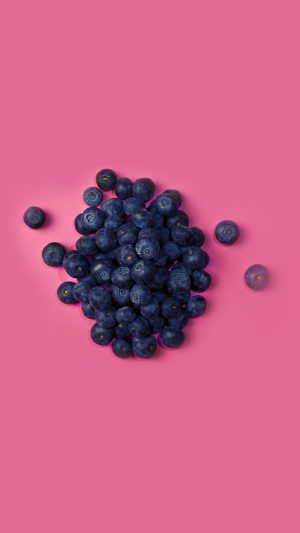 Food Blueberry Pink Art Nature Android wallpaper
