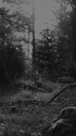 Forest Green Nature Tree Black Jonas Nilsson Lee Android wallpaper