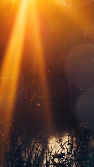 God Light Loves You Nature Flower Lake Flare Android wallpaper