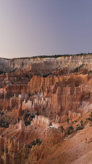 Grand Canyon Creek Nature Desert Scene Android wallpaper