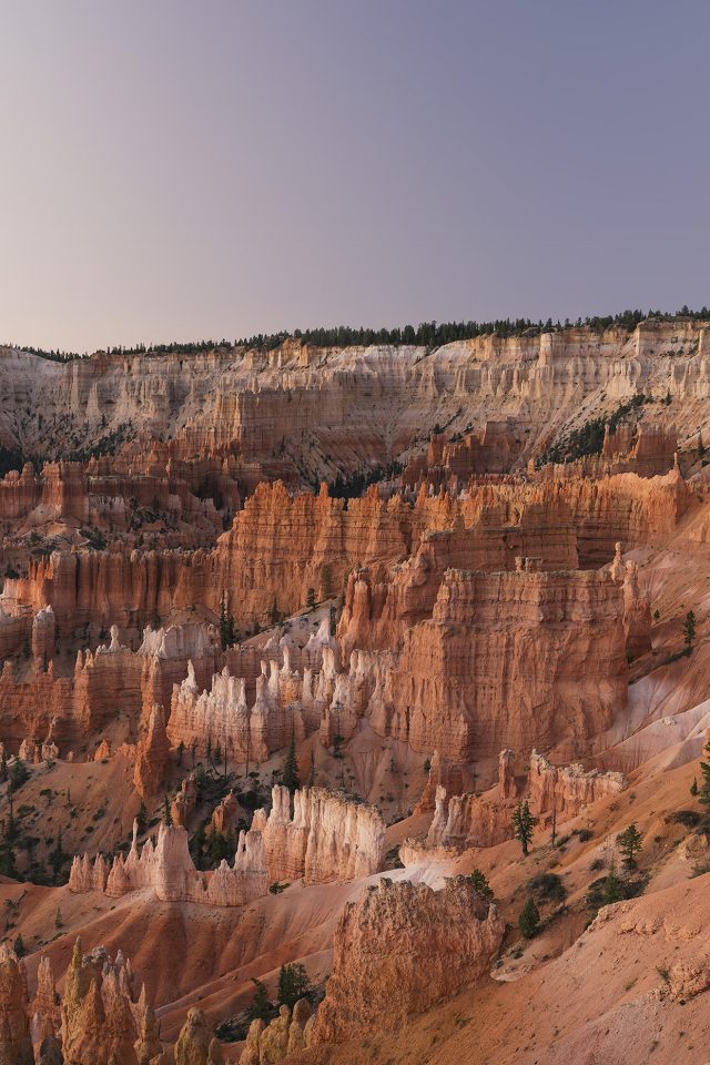 Grand Canyon Creek Nature Desert Scene Android wallpaper