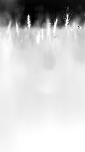 Grass Field Nature White Pattern Android wallpaper