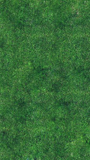 Grass Texture Nature Pattern Android wallpaper