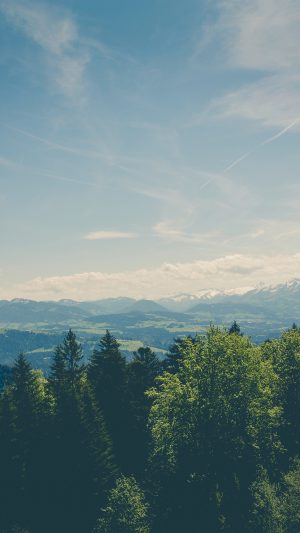 Green Land Sky Blue Summer Nature Android wallpaper