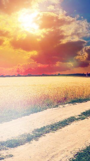 Hot Sunny Day Awesome Instagram Look Nature Farm Android wallpaper
