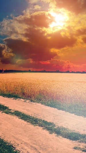 Hot Sunny Day Instagram Look Nature Farm Android wallpaper