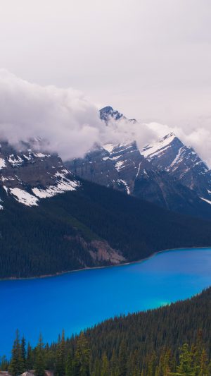Lake River Mountain Snow Wood Nature Android wallpaper