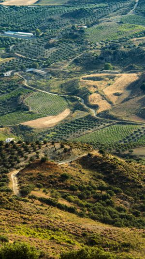 Land Green Farm Nature Love Android wallpaper
