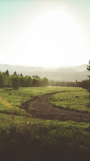 Land Green Nature Forest Road Peace Android wallpaper