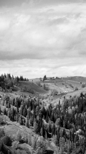 Landscape Nature Bw Dark Android wallpaper