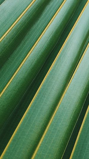 Leaf Green Line Nature Pattern Android wallpaper