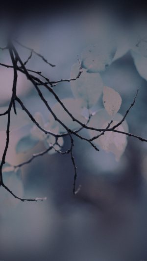 Leaf Green Tree Sleeping Dark Wood Nature Android wallpaper