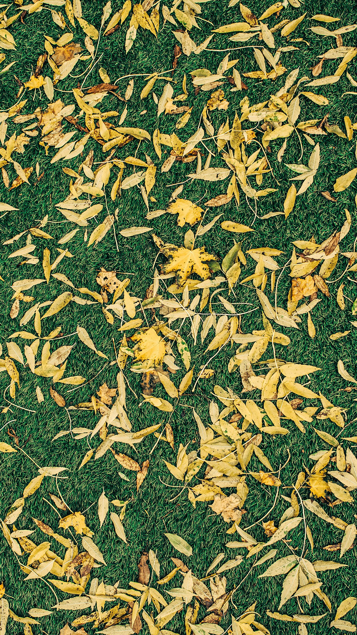Leaf Lawn Nature Green Pattern Android wallpaper