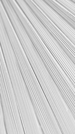 Leaf White Surface Texture Nature Pattern Bw Android wallpaper