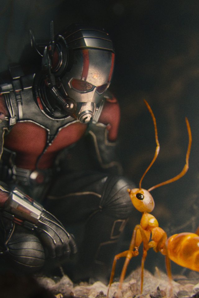 Marvel Antman Metts Ant Film Art Illustration Android wallpaper