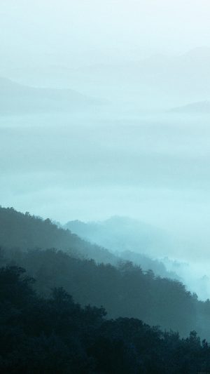Mountain Fog Green Nature Android wallpaper