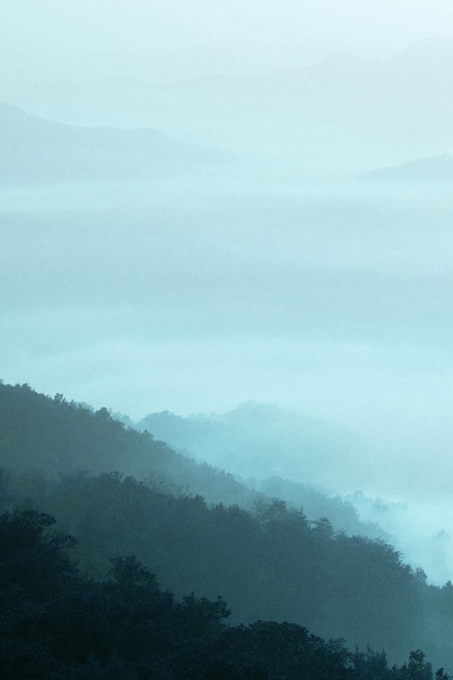 Mountain Fog Green Nature Android wallpaper