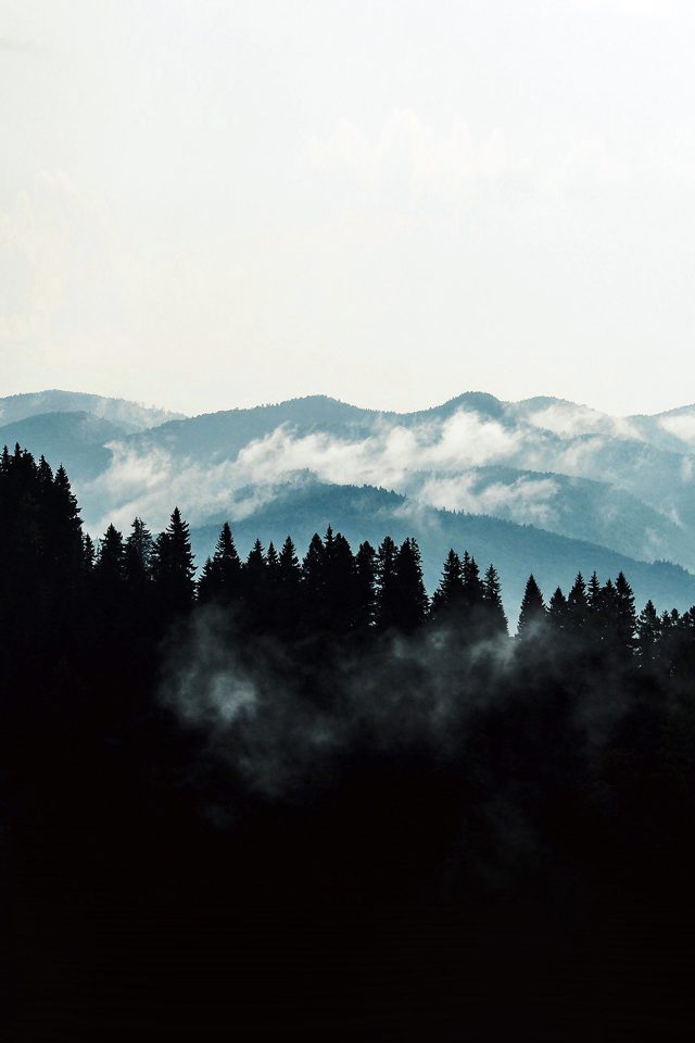 Mountain Fog Nature View Wood Forest Dark Android wallpaper