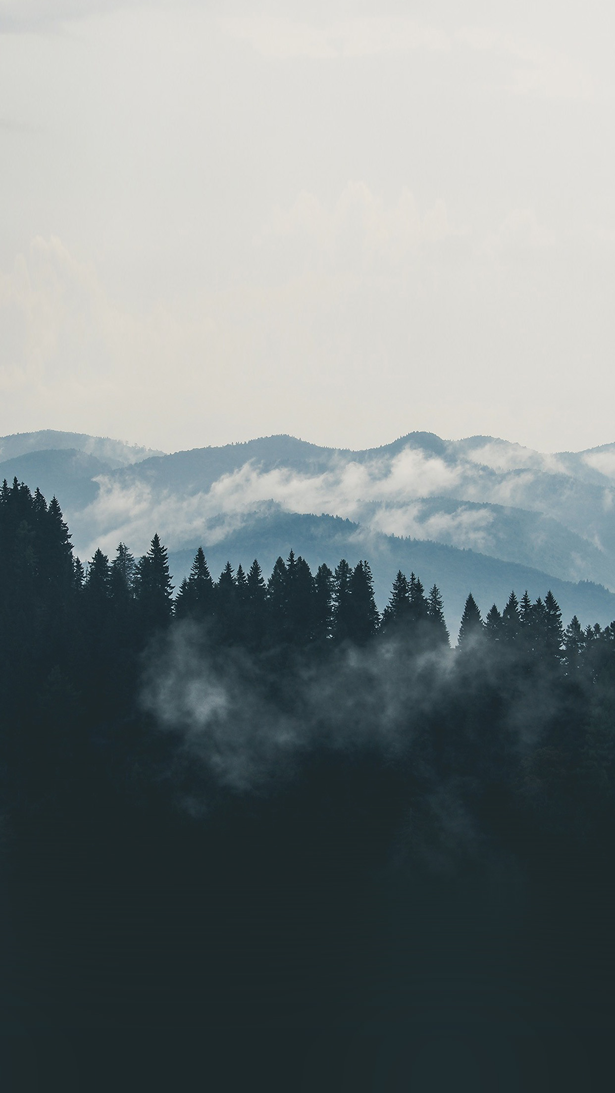 Mountain Fog Nature View Wood Forest Android wallpaper