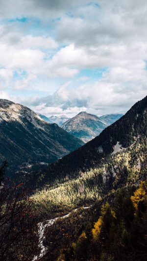 Mountain Forest Summer Wood Nature Android wallpaper
