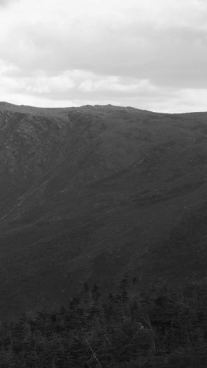 Mountain Green Nature Wood Forest Dark Bw Android wallpaper