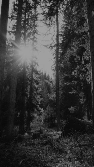 Mountain Sunlight Bw Marco Jorger Nature Android wallpaper