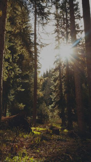 Mountain Sunlight Dark Marco Jorger Nature Android wallpaper