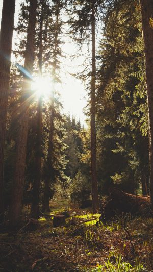 Mountain Sunlight Marco Jorger Nature Android wallpaper