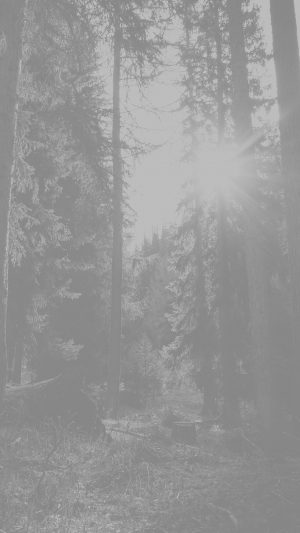 Mountain Sunlight White Marco Jorger Nature Android wallpaper