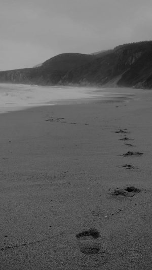 Naked Walk Sea Beach Nature Pure Dark Bw Android wallpaper