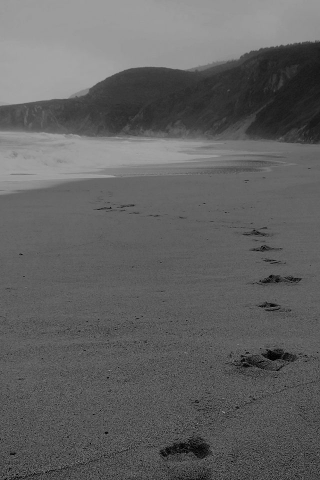 Naked Walk Sea Beach Nature Pure Dark Bw Android wallpaper