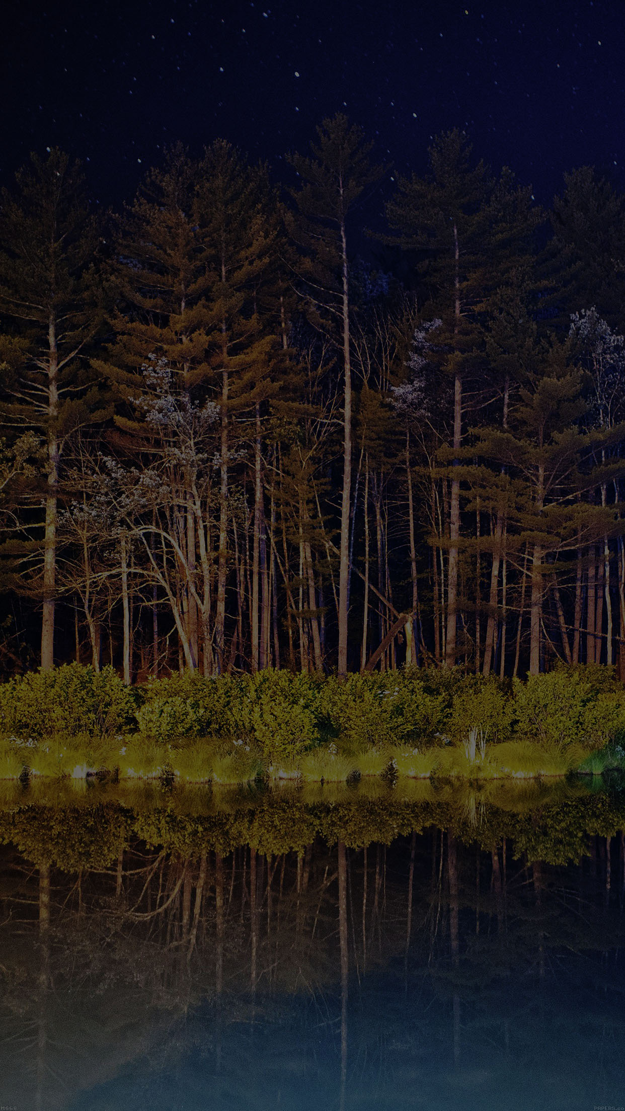 Night Dark Wood With Lake Nature Android wallpaper