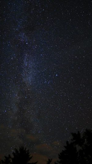Night Sky Milkyway Tree Wood Nature Android wallpaper
