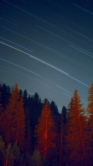 Night Wood Mountain Star Sky Nature Android wallpaper