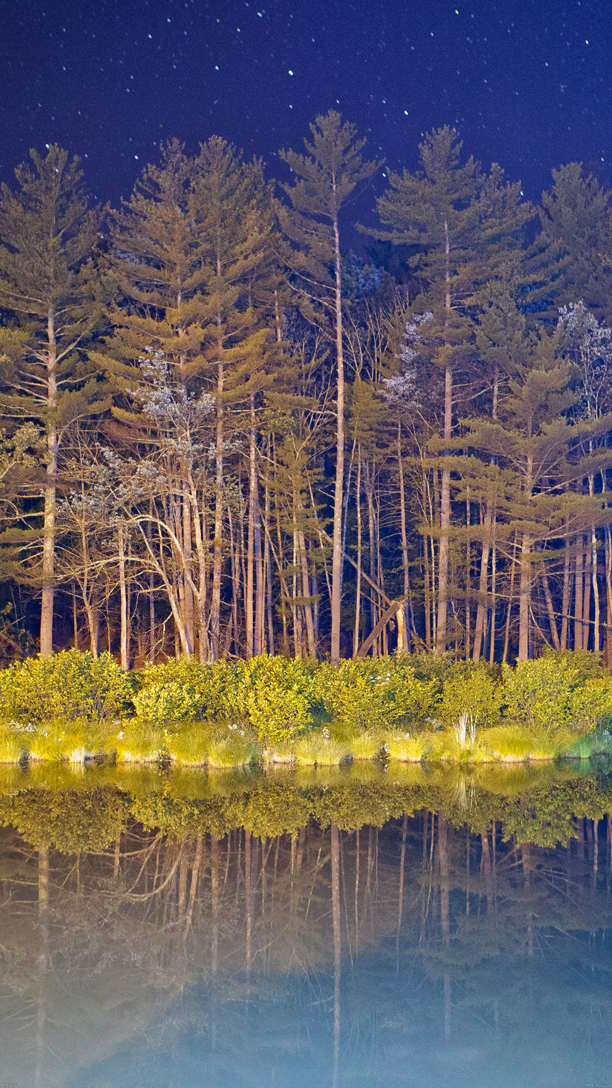 Night Wood With Lake Nature Android wallpaper