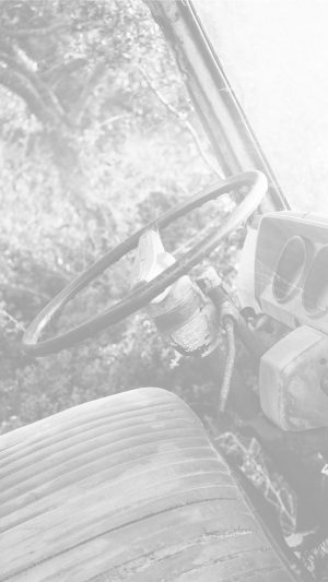 Old Car Forest Vintage White Nature Carl Kadysz Android wallpaper