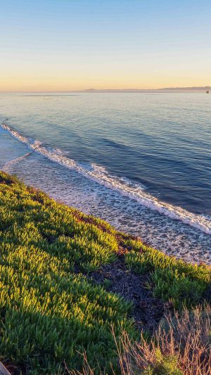 Peace Nature Wood Sea Ocean Nature Android wallpaper