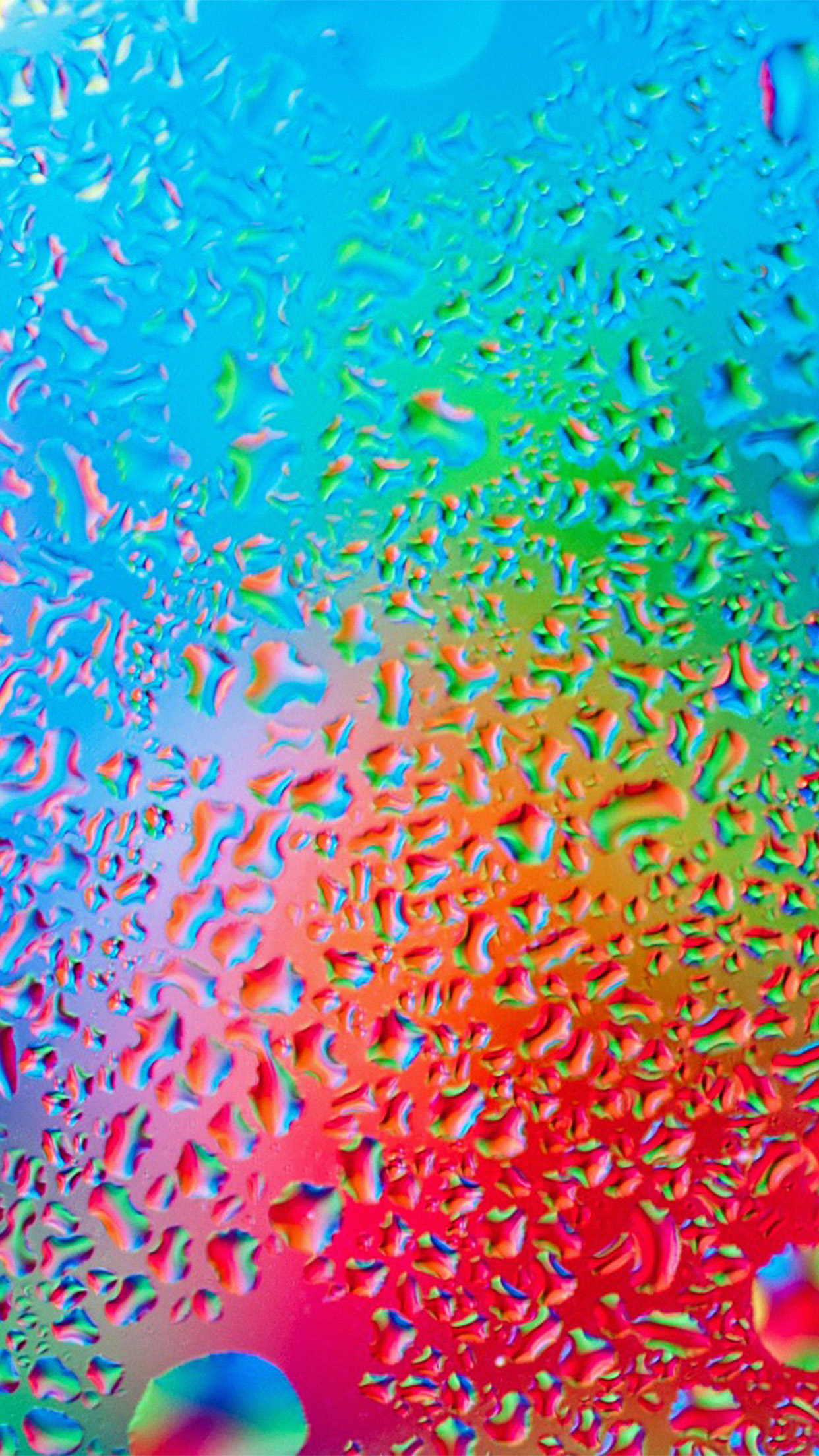 Rainbow Drops Nature Android wallpaper