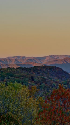 Rainbow Fall Mountain Woods Nature Sky Android wallpaper