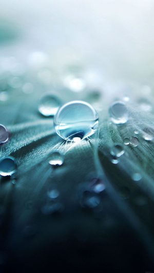 Raindrops Nature Leaf Art Green Android wallpaper