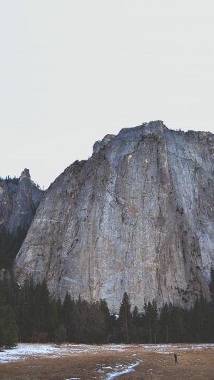 Rock Mountain Nature Wood Forest Android wallpaper