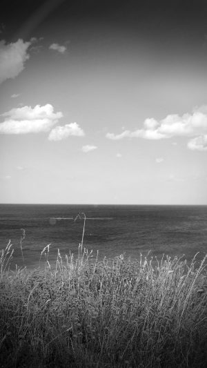 Sea Cloud Flower Nature Old Nostalgia Dark Bw Android wallpaper