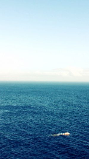 Sea Pals Nature Android wallpaper