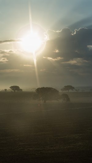 Shiny Farm Nature Sunny Flare Day Summer Android wallpaper