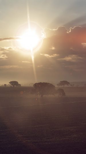 Shiny Farm Nature Sunny Flare Day Summer Blue Android wallpaper