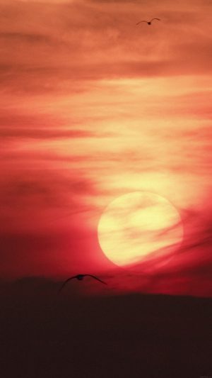 Sky Red Sunset Night Nature Android wallpaper