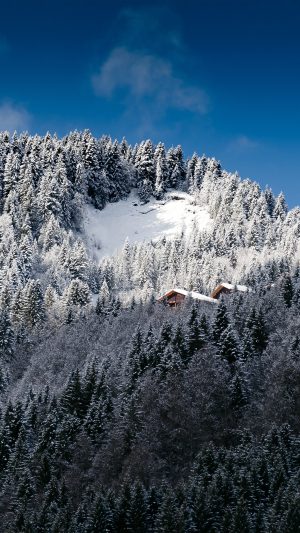 Snow Mountain Wood Home Winter Nature Android wallpaper