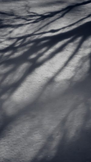 Snow Shadow Winter Tree Nature Android wallpaper