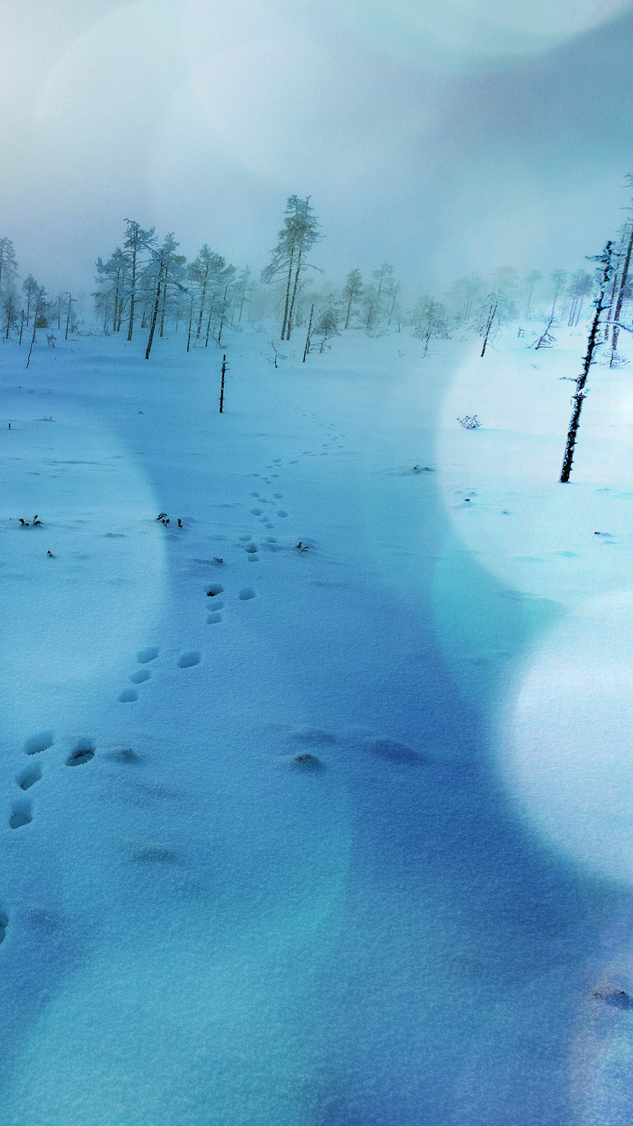 Snow Walk Winter Blue Bokeh Footprints Nature Mountain Android wallpaper