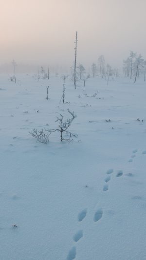 Snow Walk Winter Footprints Nature Mountain Android wallpaper